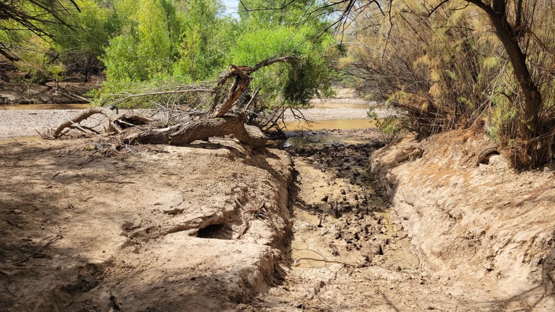 Martinez Canyon Road Trail Review Photo