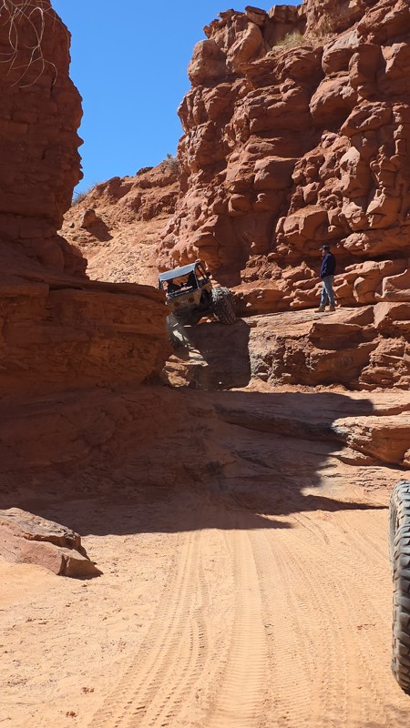 The Pickle Trail Review Photo