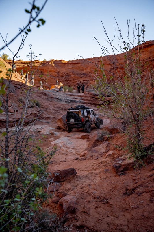 The Pickle Trail Review Photo