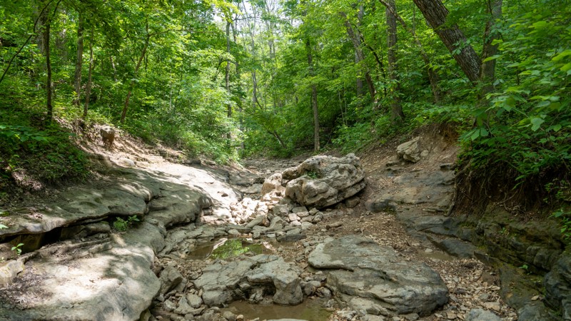 Rocker Knocker  - Southern Missouri Off-Road Ranch Trail Review Photo
