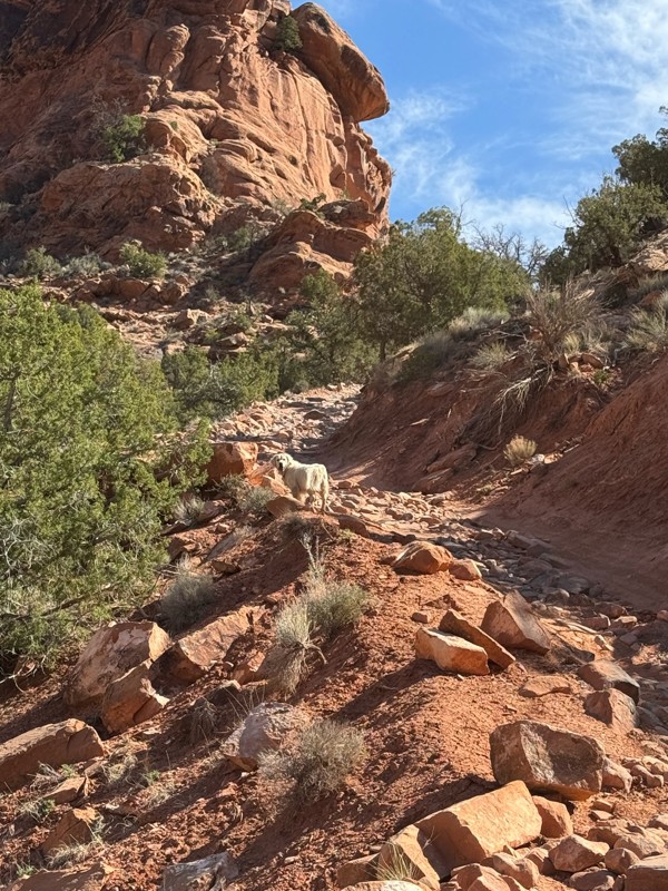 Rose Garden Hill Trail Review Photo