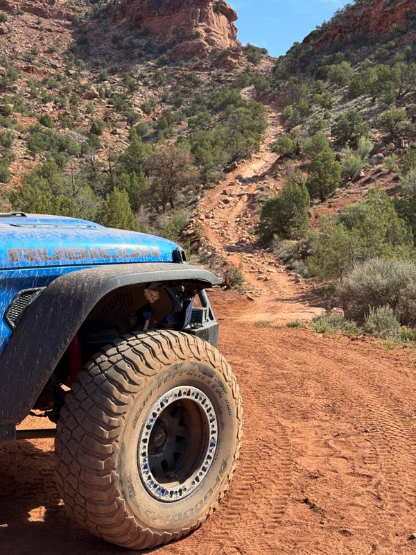 Rose Garden Hill Trail Review Photo