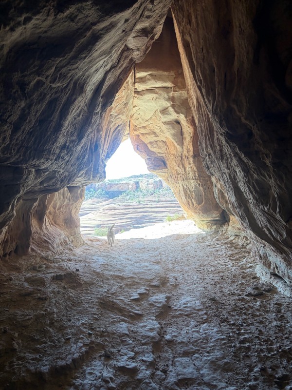 Tusher Tunnel Trail Review Photo