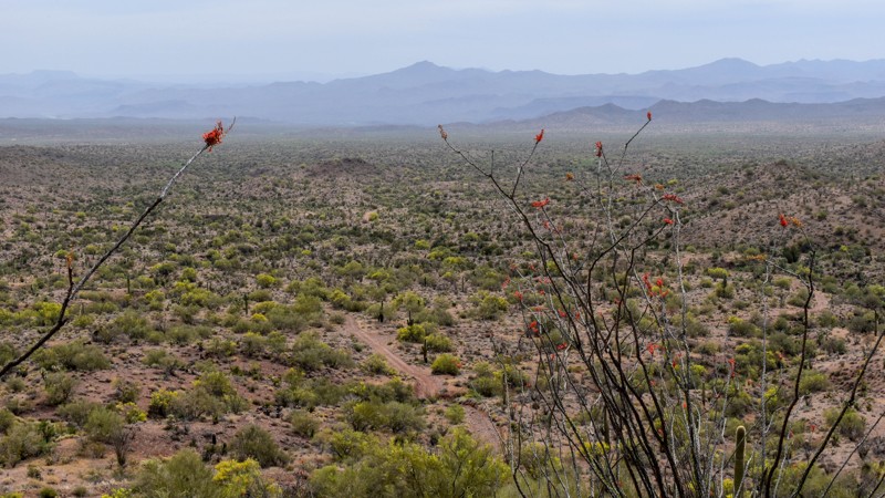 Rockhouse Cabin Trail Review Photo