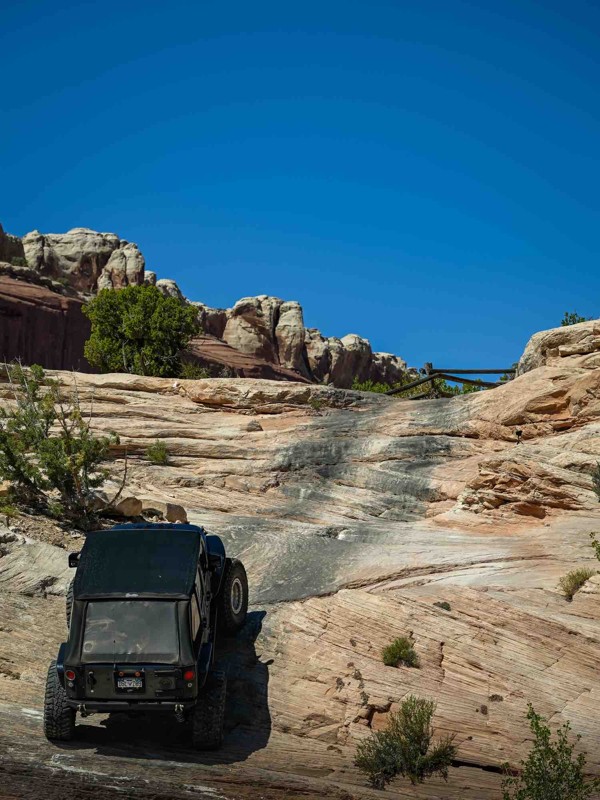 Wipe-Out Hill Trail Review Photo