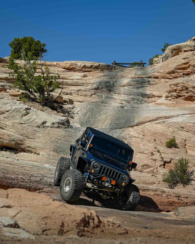Wipe-Out Hill Trail Review Photo