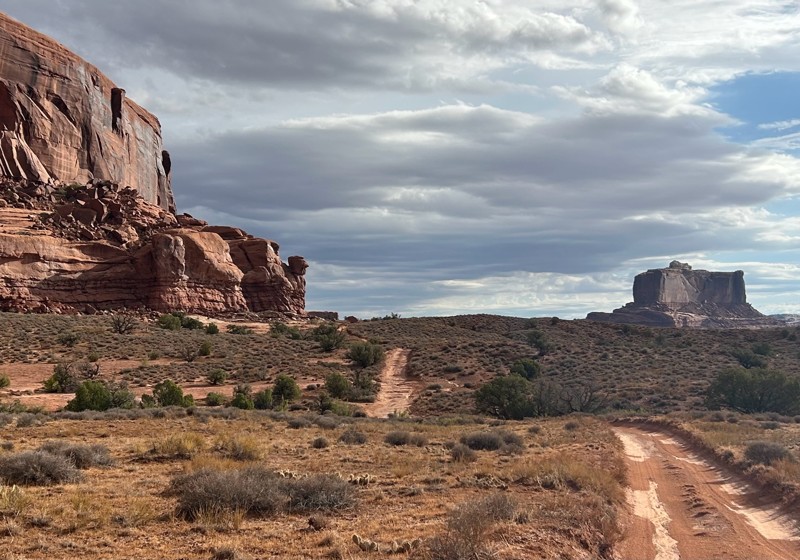 Wipe-Out Hill Trail Review Photo