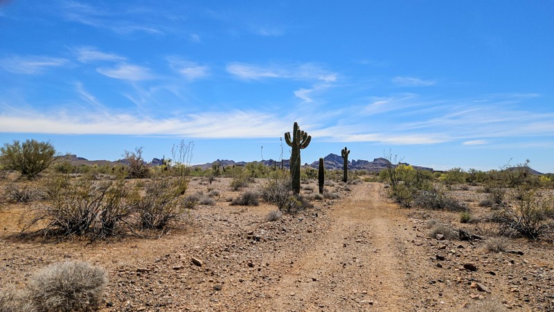 7422 Trail Review Photo