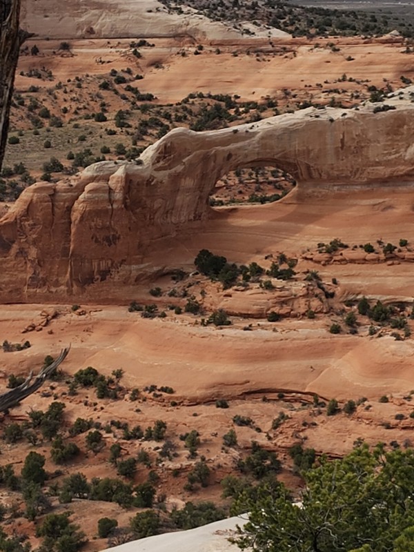 Hook and Ladder OHV #1 (Cameo Cliffs) Trail Review Photo