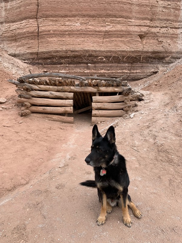 The Frenchman Trail Review Photo