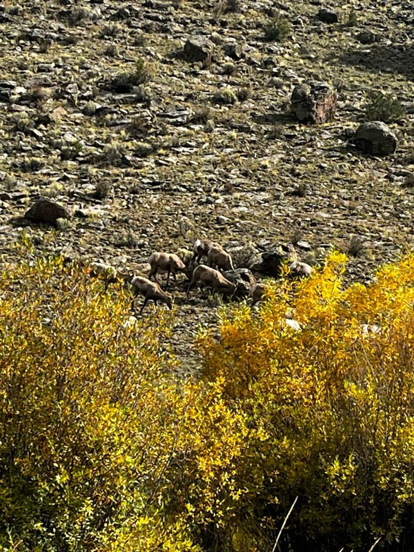 Aspen Ridge Trail Review Photo