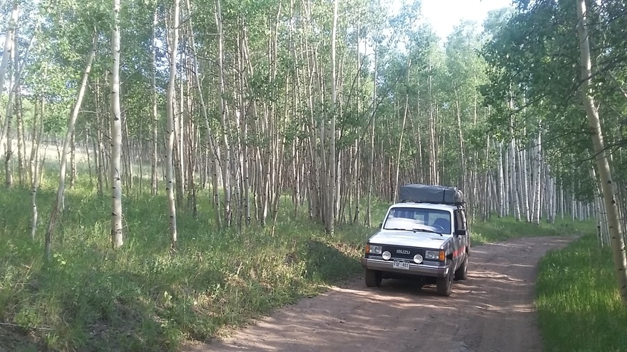 Trail Review: Aspen Ridge - Tracy Barker