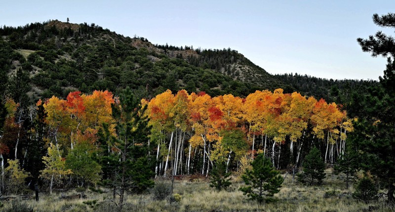 Bald Mountain Gulch Trail Review Photo