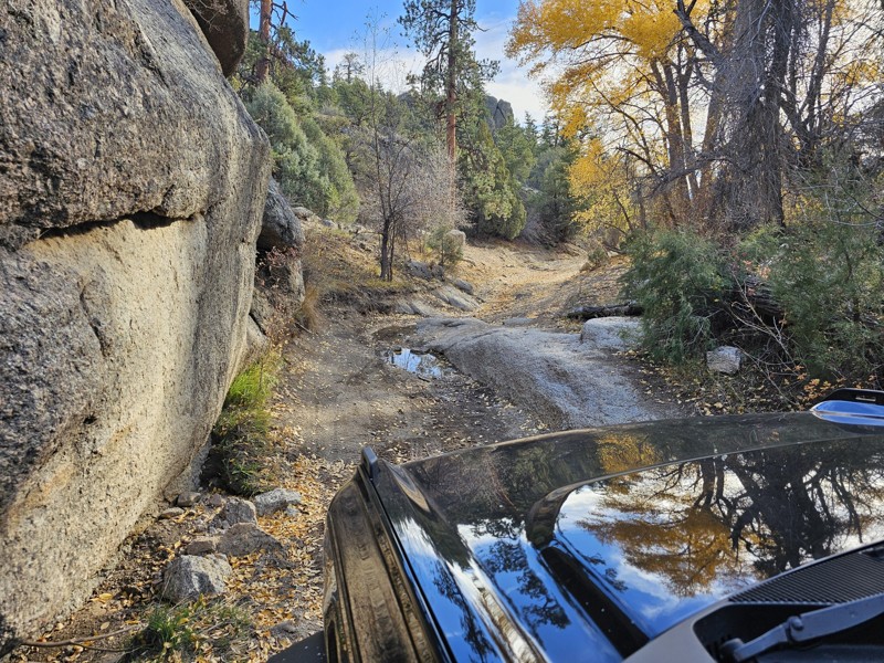 Bald Mountain Gulch Trail Review Photo