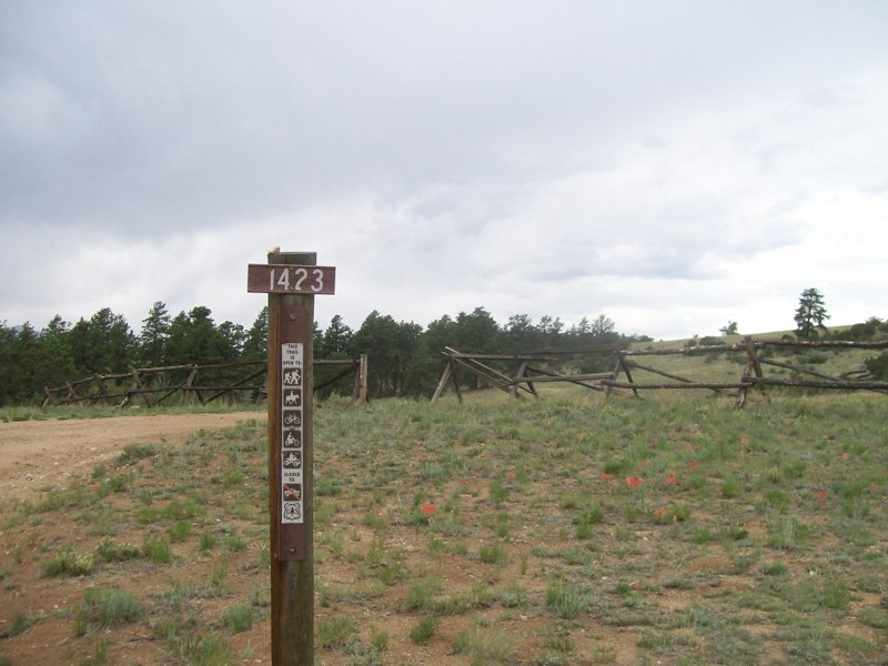 Bald Mountain Gulch - Waypoint 5: Intersection Trail 1423