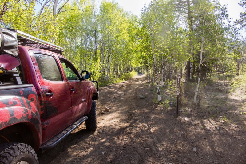 Bald Mountain Gulch - Waypoint 10: Intersection FS Road 185D