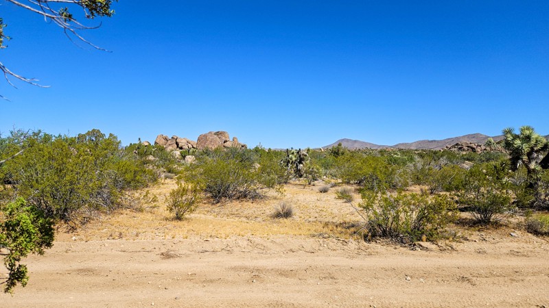 7366 Trail Review Photo