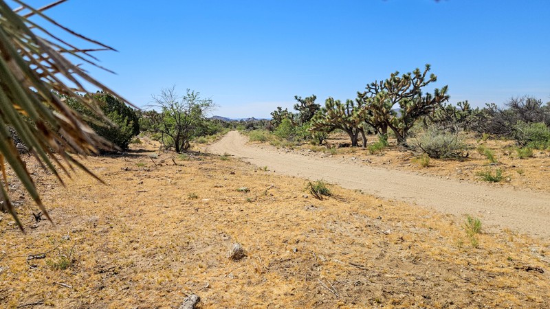 7361 Trail Review Photo