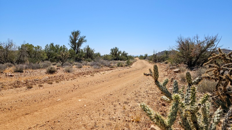 7361 Trail Review Photo