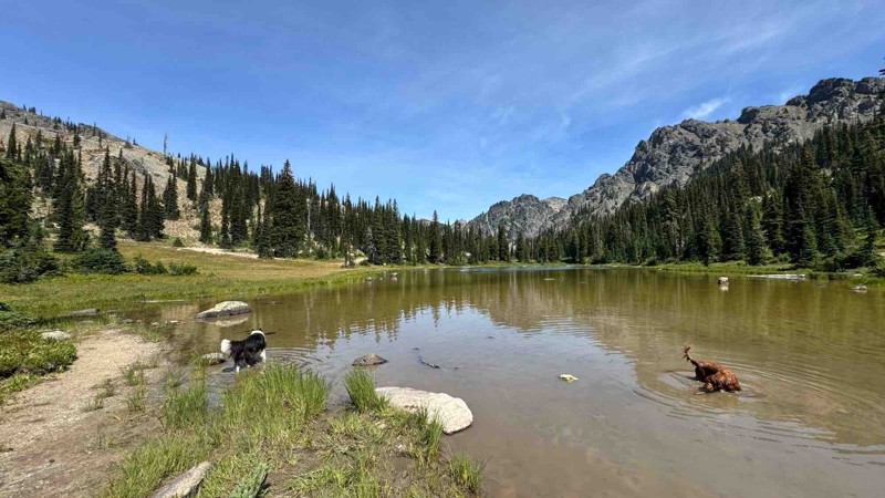 Fortune Creek Trail Trail Review Photo
