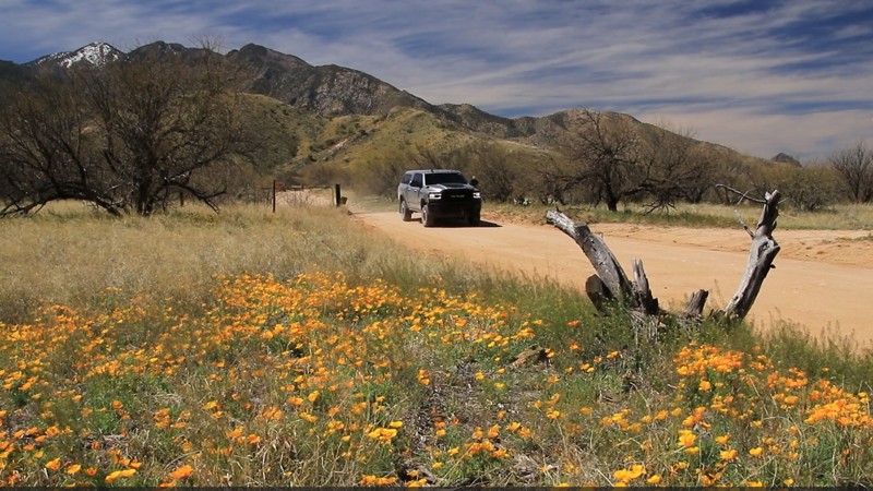Arizona: Box Canyon Road Hero Photo