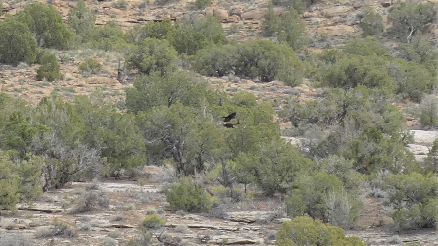 Crescent Canyon Trail Review Photo