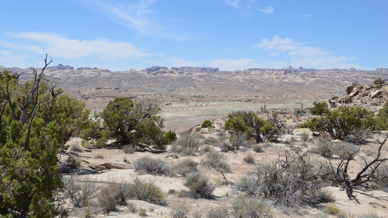 Utah: Trail Spring Hero Photo