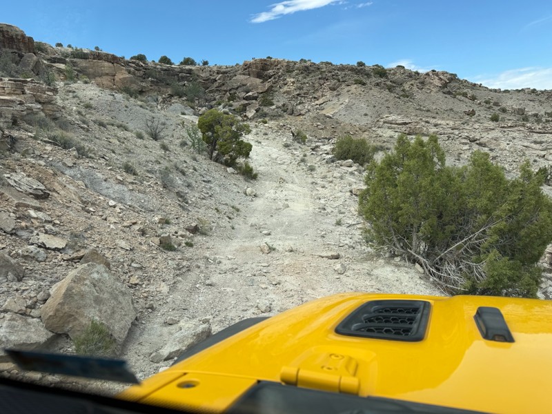 Lost Spring Wash Trail Review Photo