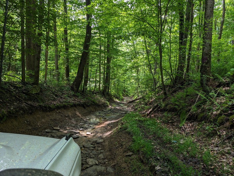 Pedlar Run Trail Review Photo