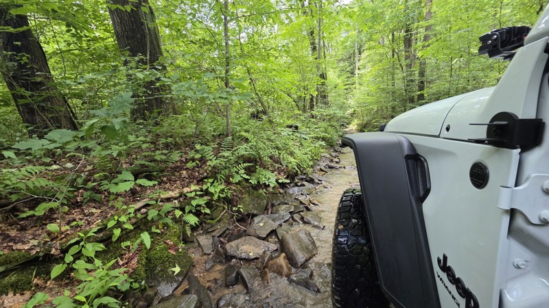 Pedlar Run Trail Review Photo