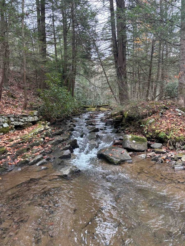 Pedlar Run Trail Review Photo