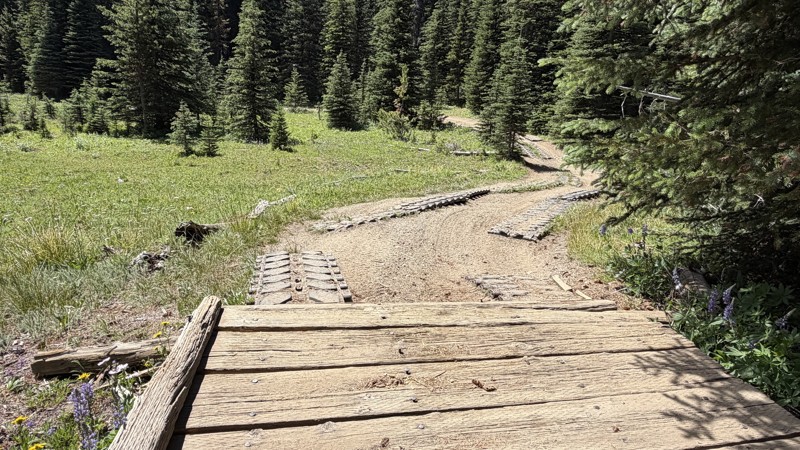 Wells Meadow Trail Review Photo