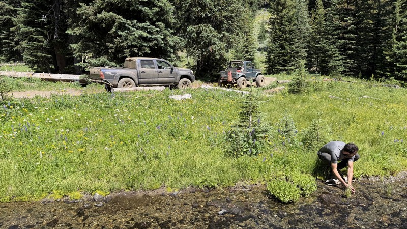 Wells Meadow Trail Review Photo