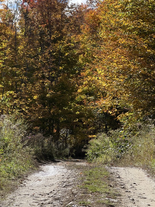 Chateauguay Road Trail Review Photo