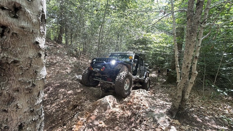 Jericho Mountain Green Trail - East Trail Review Photo
