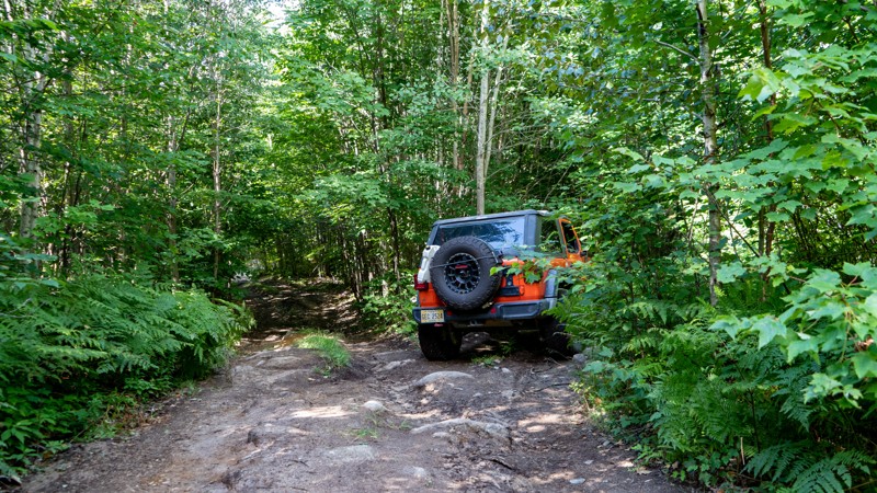 Jericho Mountain Green Trail - West - Waypoint 3: Black Trail Exit - Keep Straight