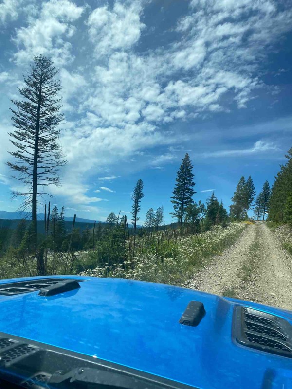 Blacktail OHV Trail aka Blacktail-Wild Bill ORV Trail System Trail Review Photo