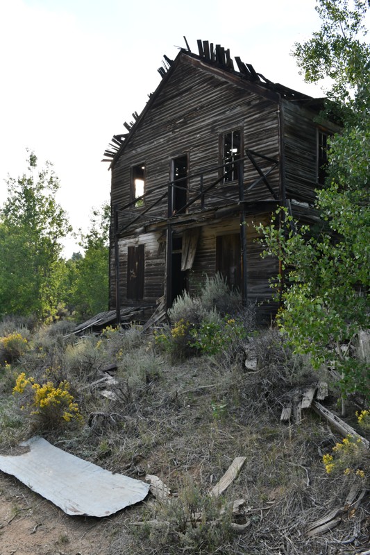 Wickes Road Trail Review Photo