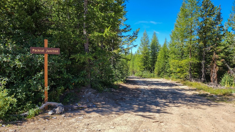 Wild Bill - Eagle Mountain Trail aka Blacktail-Wild Bill ORV Trail System - Waypoint 16: Packrat Junction - Stay Straight