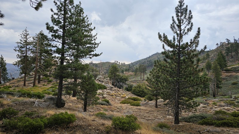Snow Slide Trail Review Photo