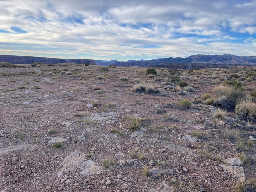 Buffalo Ranch Road Trail Review Photo