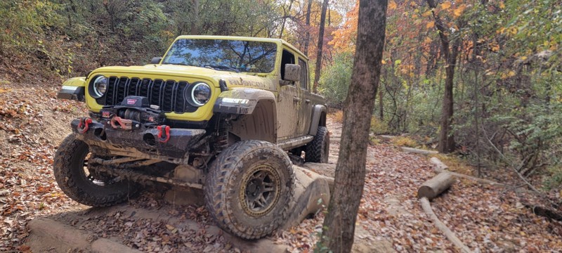 Redbird 5 Green Trail Review Photo
