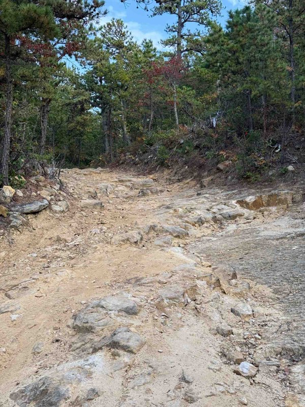 Bald Mountain Jeep Trail aka Big Levels Trail Review Photo