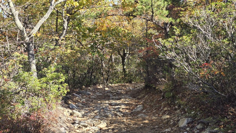 Bald Mountain Jeep Trail aka Big Levels Trail Review Photo