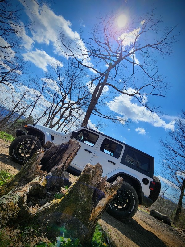 Bald Mountain Jeep Trail aka Big Levels Trail Review Photo