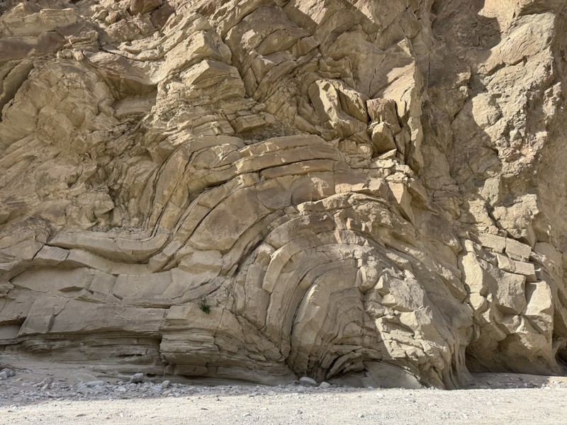 Fish Creek Trail - Anza Borrego Trail Review Photo