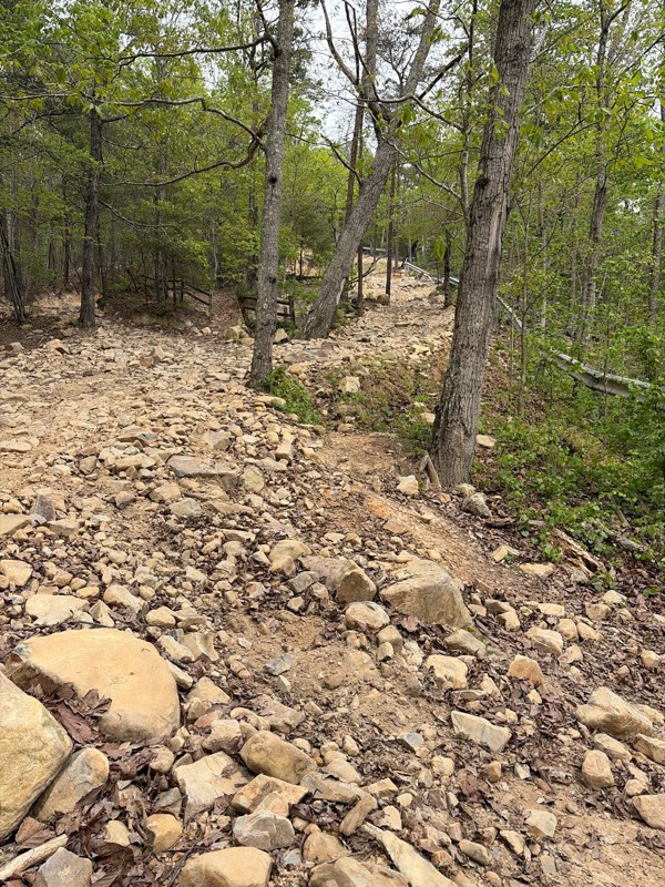 Dickey Bell Trail Review Photo