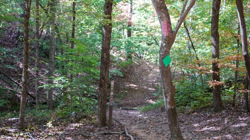 Dickey Bell - Waypoint 15: Non-Motorized Intersection - Continue Straight