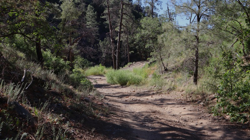 Senator Highway Trail Review Photo