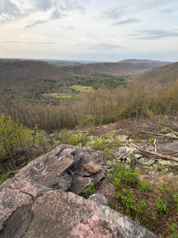 Poe Paddy Drive Trail Review Photo